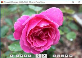 कीबोर्ड शॉर्टकट के समर्थन के साथ निःशुल्क तेज़ छवि व्यूअर: मेवरिक फोटो व्यूअर