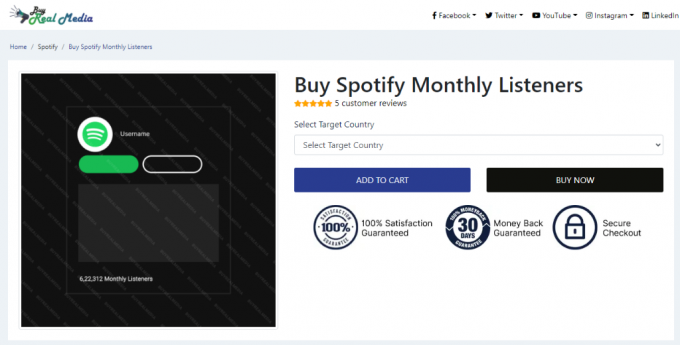 Купить ежемесячные слушатели Real Media Spotify