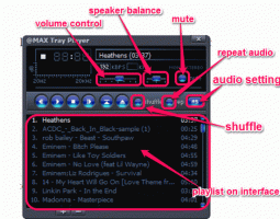 Pemutar Audio Taskbar Gratis untuk Windows 10: Max Tray Player
